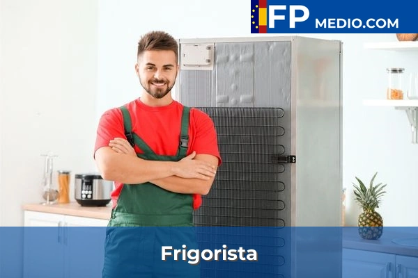 Frigorista