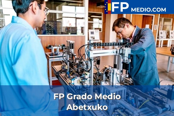 FP Grado Medio en Abetxuko