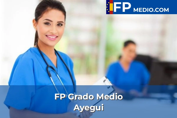 FP Grado Medio en Ayegui