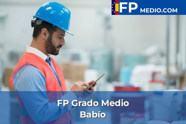 FP Grado Medio en Babío