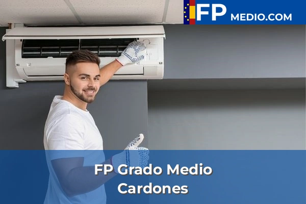 FP Grado Medio en Las Palmas 8 FP Grado Medio en Cardones