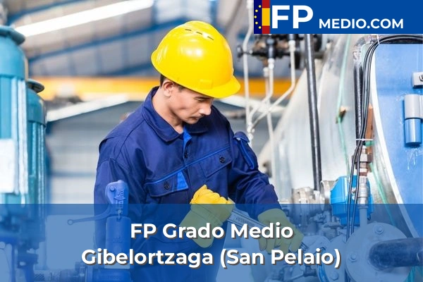 FP Grado Medio en Gibelortzaga (San Pelaio)