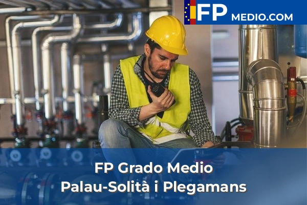 FP Grado Medio en Palau-Solità i Plegamans
