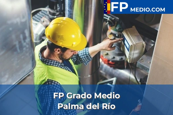 FP Grado Medio en Palma