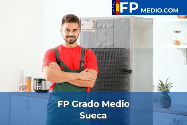 FP Grado Medio en Valencia 175 FP Grado Medio en Sueca