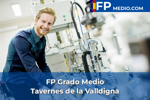 FP Grado Medio en Valencia 178 FP Grado Medio en Tavernes de la Valldigna